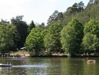 Badeseen in der Pfalz: Die 5 schönsten Seen und Weiher im Pfälzerwald