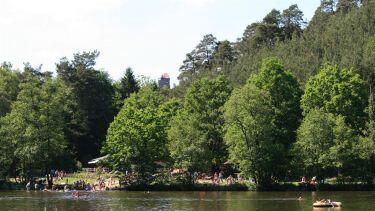 Badeseen in der Pfalz: Die 5 schönsten Seen und Weiher im Pfälzerwald