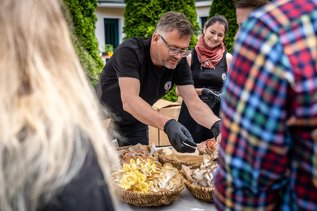 freakstotable e.V. organisierte das super Food-Event!