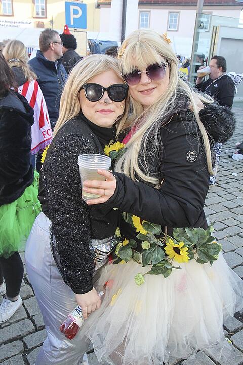 Fasching 2025 in Stadtsteinach!
