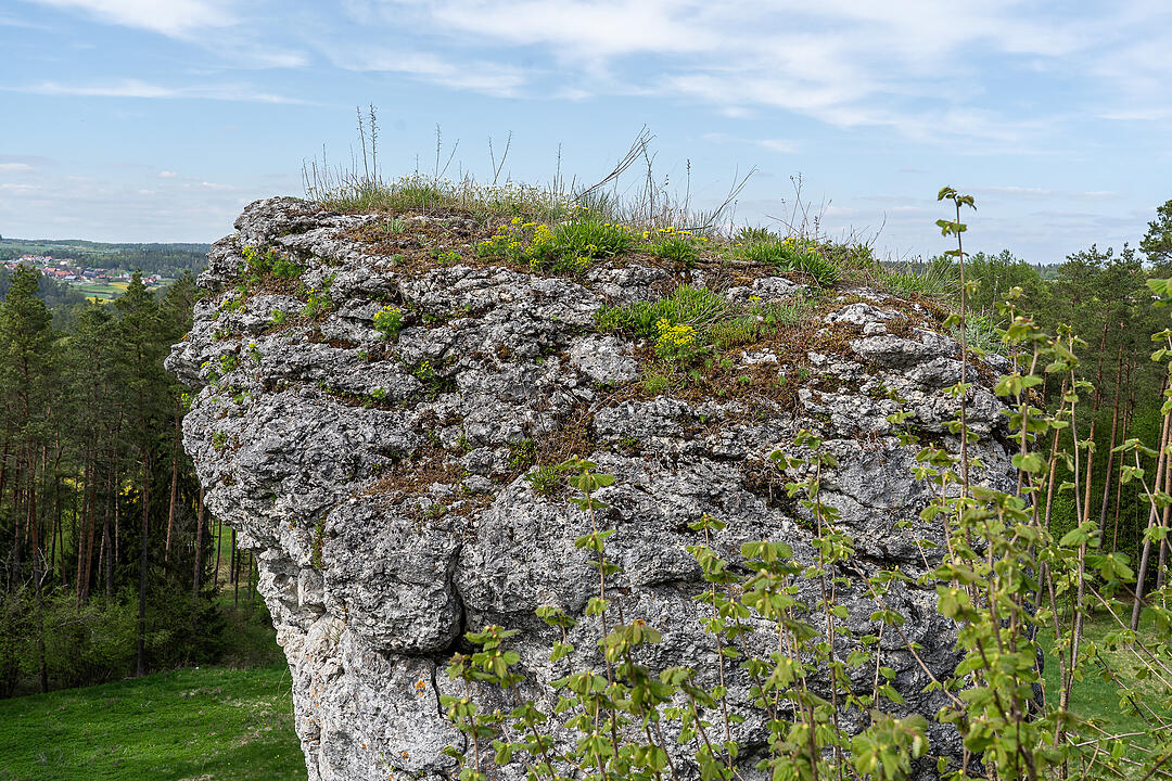 Der große Burgfels dient als toller Aussichtspunkt.