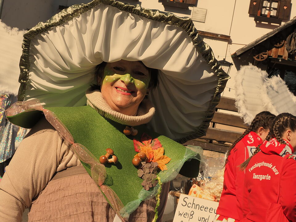 Fasching 2025 im Landkreis Bad Kissingen!