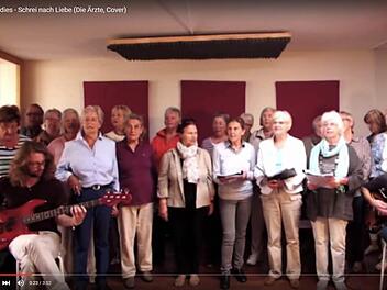 Die "Goldies" singen "Schrei nach Liebe". Screenshot: Youtube