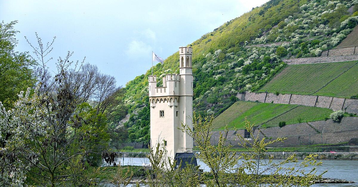 Diese Sehenswürdigkeiten in Bingen am Rhein sind die TopAttraktionen