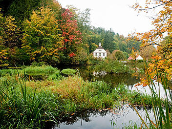 Im Pfälzerwald entlang der Moosalbe sowie rund um Johanniskreuz gibt es so manchen romantischen Wanderweg zu entdecken.