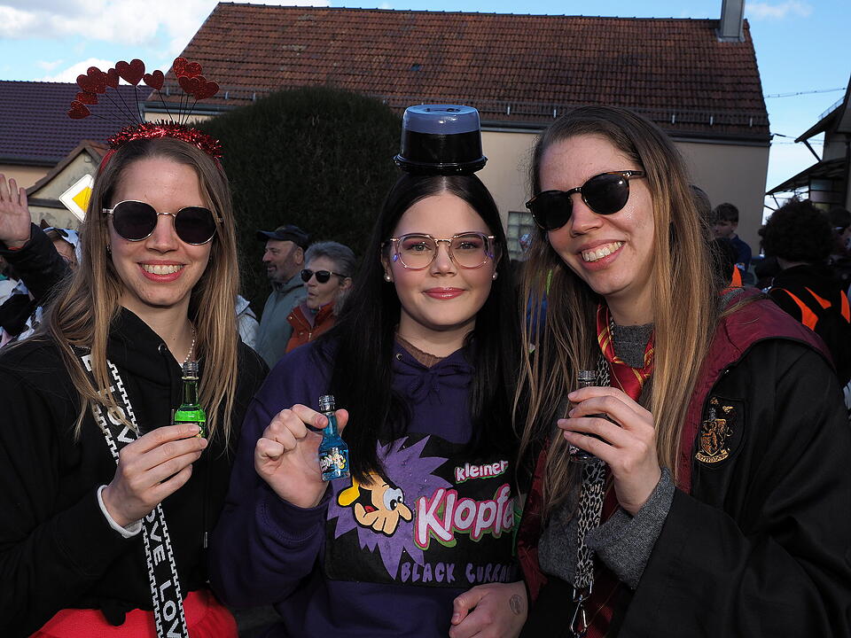 Fasching 2025 im Landkreis Bad Kissingen!