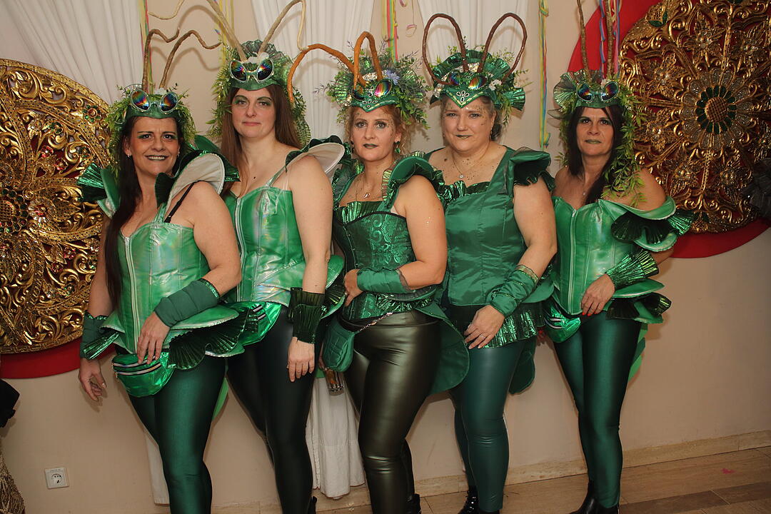Fasching 2025 in Nürnberg!