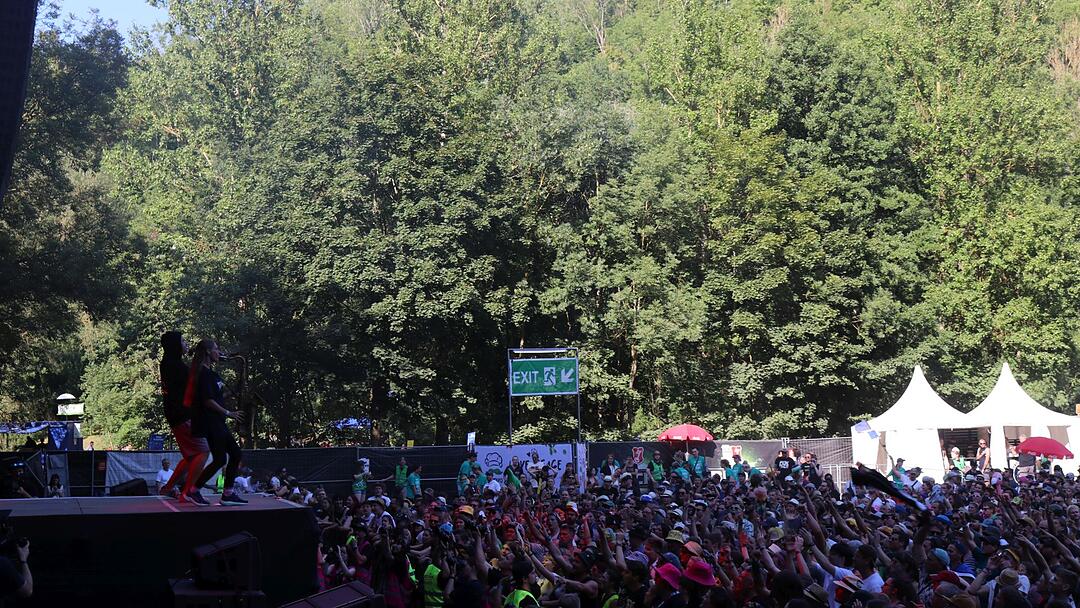 Das Taubertal Festival 2025: Mit Hilltop Hoods, IPrevail, 01099, Madsen, Irie Révoltés und vielen weiteren