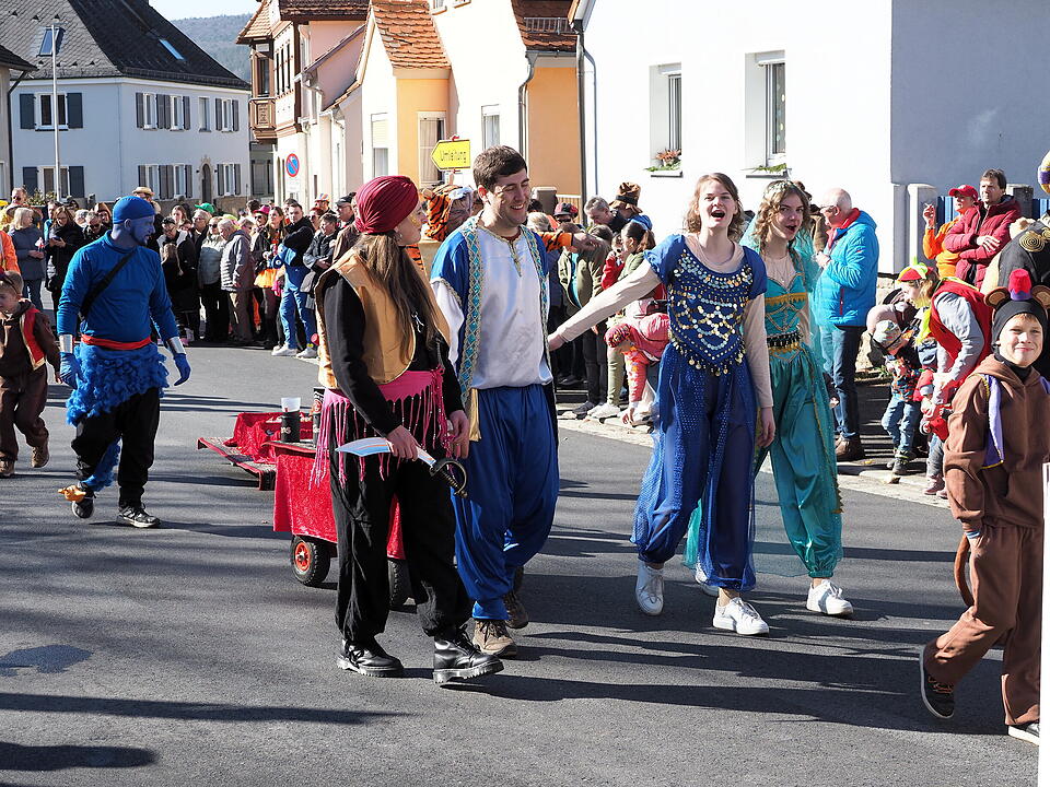 Buntes Faschingstreiben in Unterfranken!
