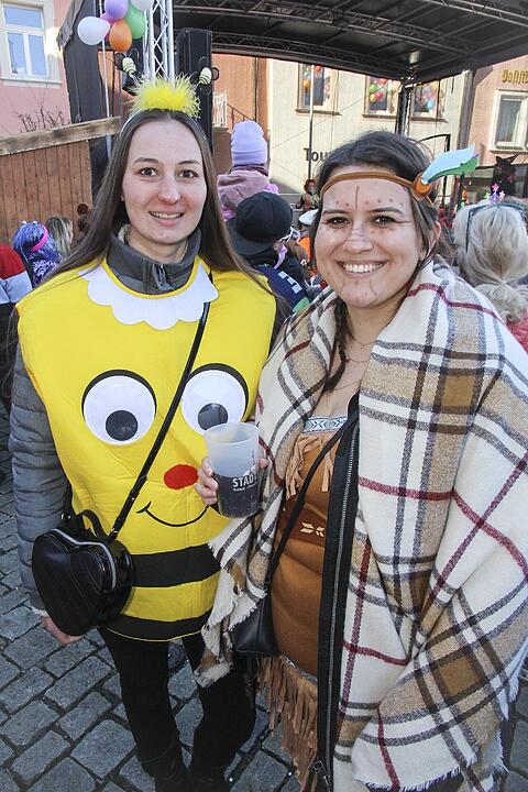 Fasching 2025 in Stadtsteinach!