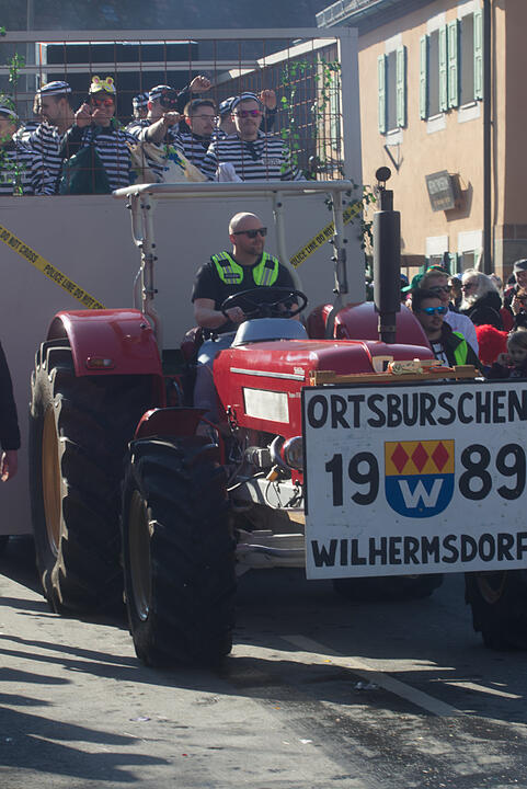 Fasching 2025 in Emskirchen!