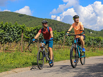 Fahrrad fahren, Fahrrad-Tour, Rheinland-Pfalz, Weinberge