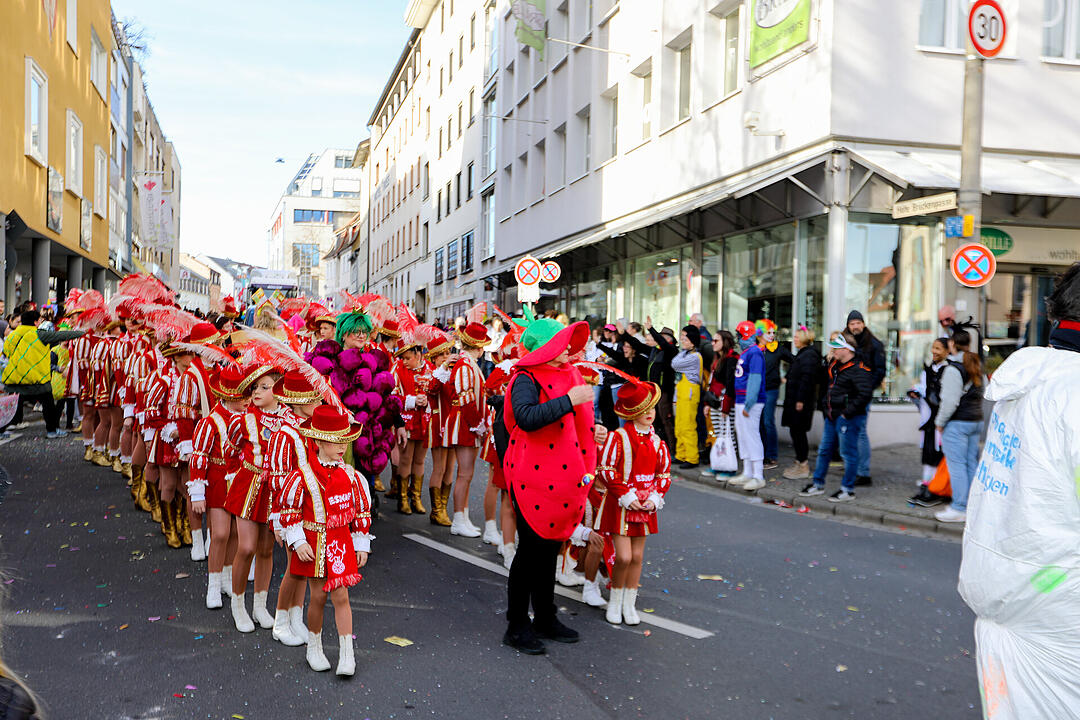 Fasching 2025 in Schweinfurt!