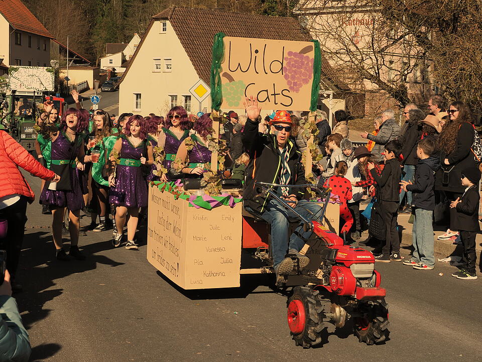 Fasching 2025 im Landkreis Bad Kissingen!