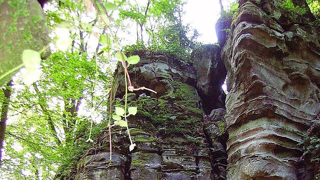 Teufelsschlucht in der Südeifel: Diese 5 Top-Wanderwege solltest du kennen