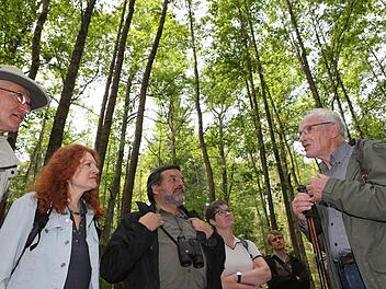 Ortstermin im "Hohen Buchenen Wald" im Ebracher Forst: Der frühere Ebracher Forstamtsleiter Georg Sperber (rechts) informiert über Ebrachs Buchenwald.  Foto: Matthias Hoch