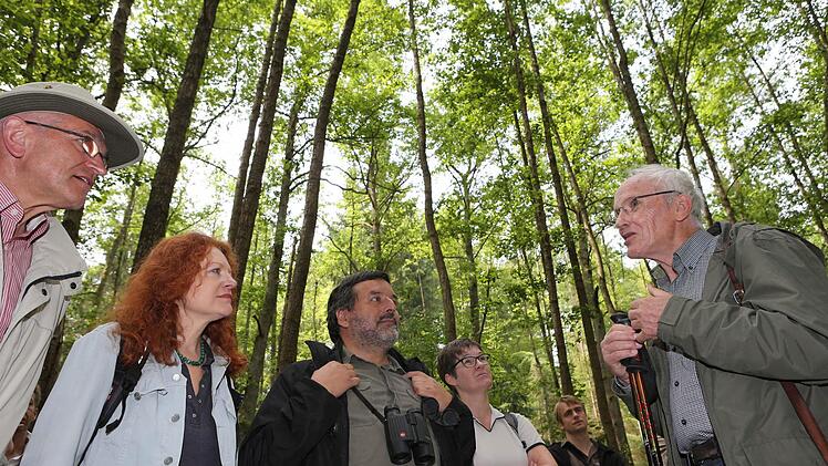 Ortstermin im "Hohen Buchenen Wald" im Ebracher Forst: Der frühere Ebracher Forstamtsleiter Georg Sperber (rechts) informiert über Ebrachs Buchenwald.  Foto: Matthias Hoch