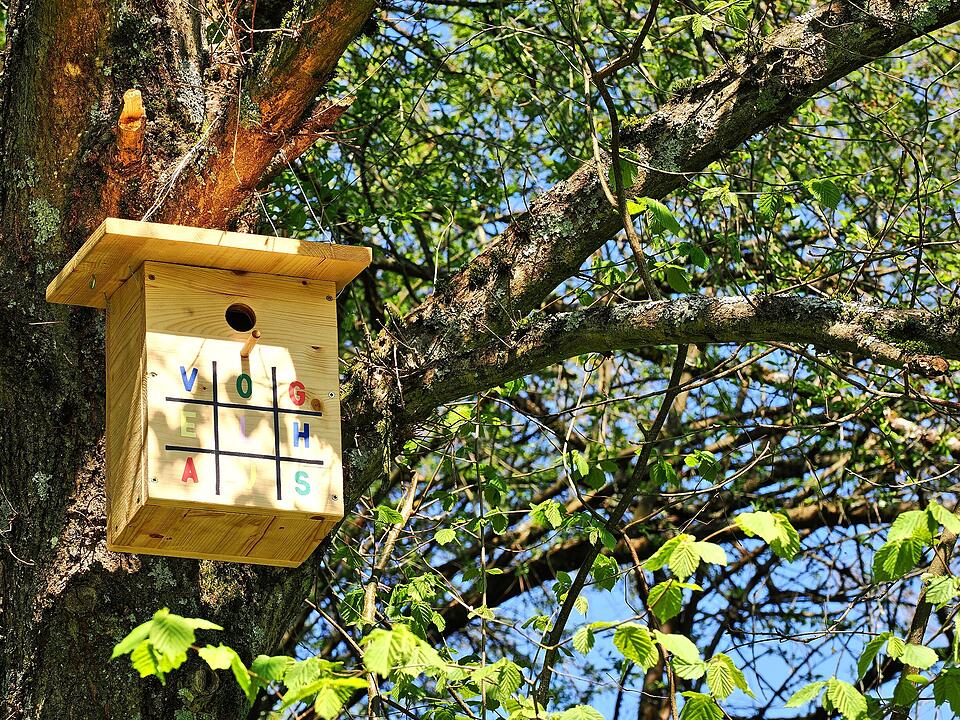 Die Wanderung führt durch eine Kernzone des Biosphärenreservats Rhön.