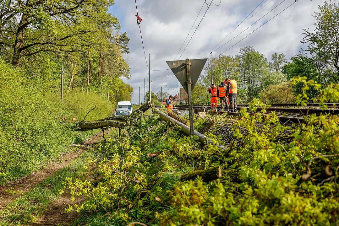 Zahlreiche Einsätze durch Unwetter in Franken: Umgestürzte Bäume fordern Feuerwehr