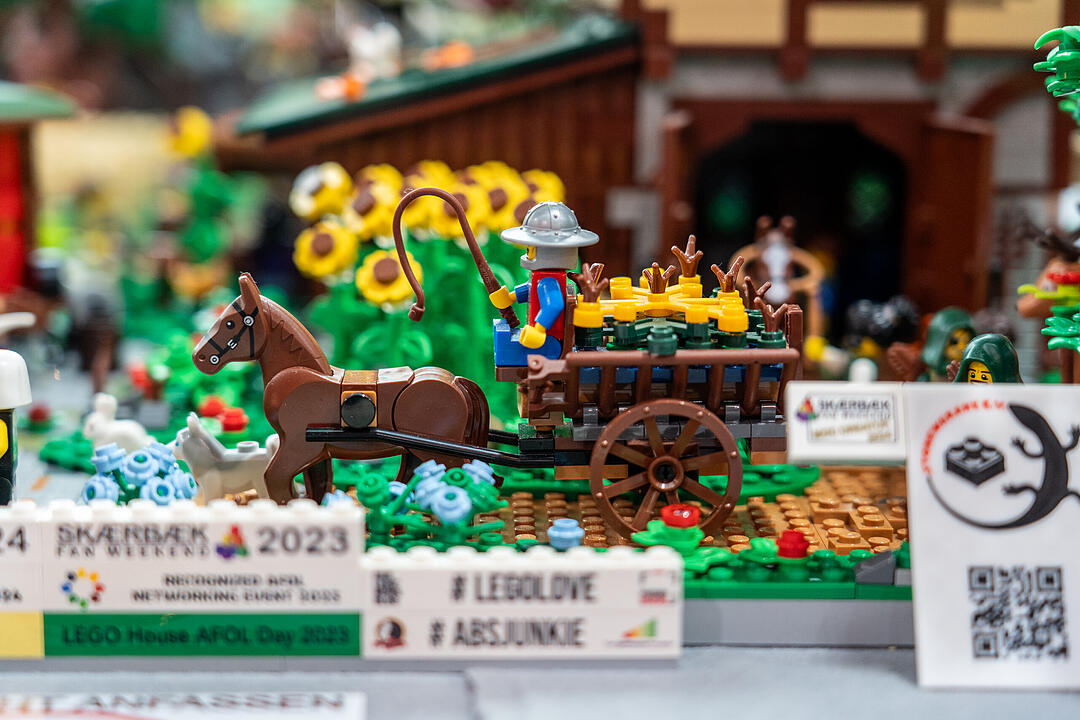 Lego-Fans aus ganz Deutschland kommen nach Fürth!