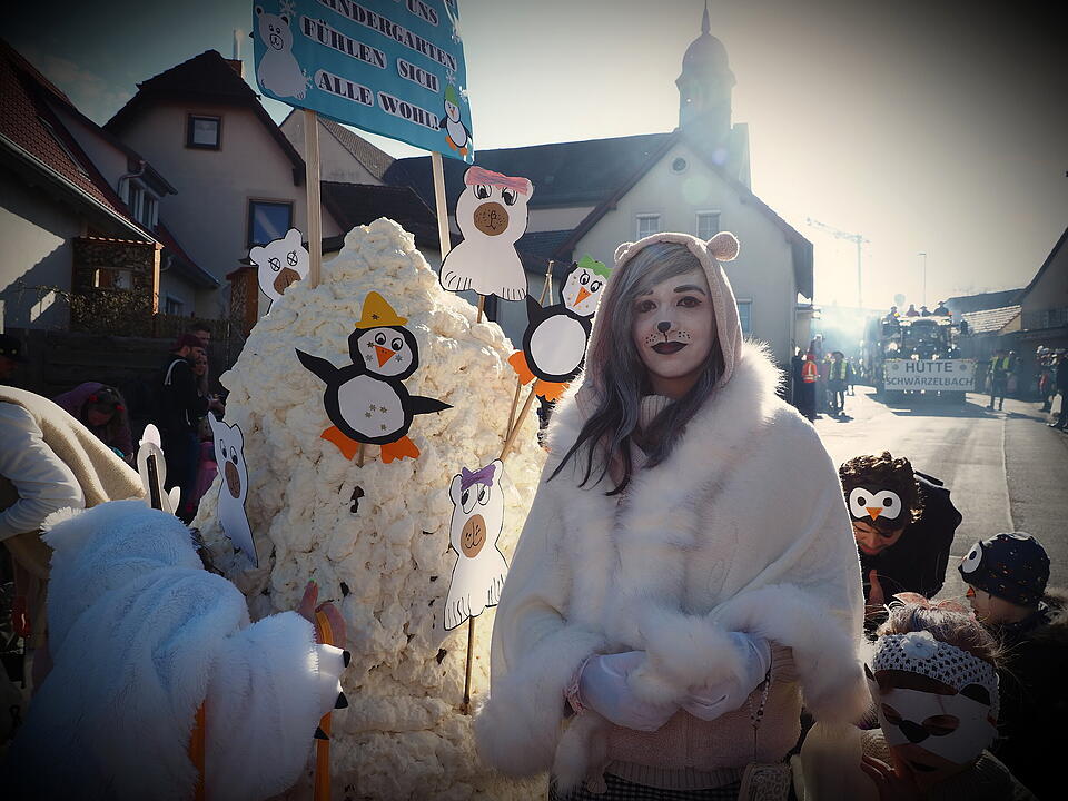 Fasching 2025 im Landkreis Bad Kissingen!
