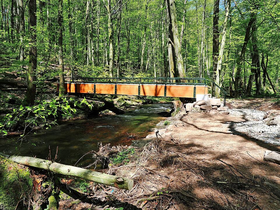 Die Wanderung führt durch eine Kernzone des Biosphärenreservats Rhön.