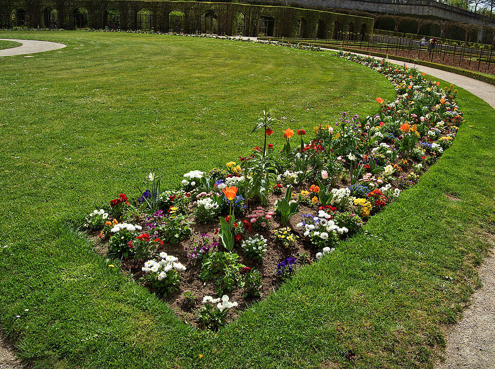 Baumblüte im Hofgarten der Würzburger Residenz