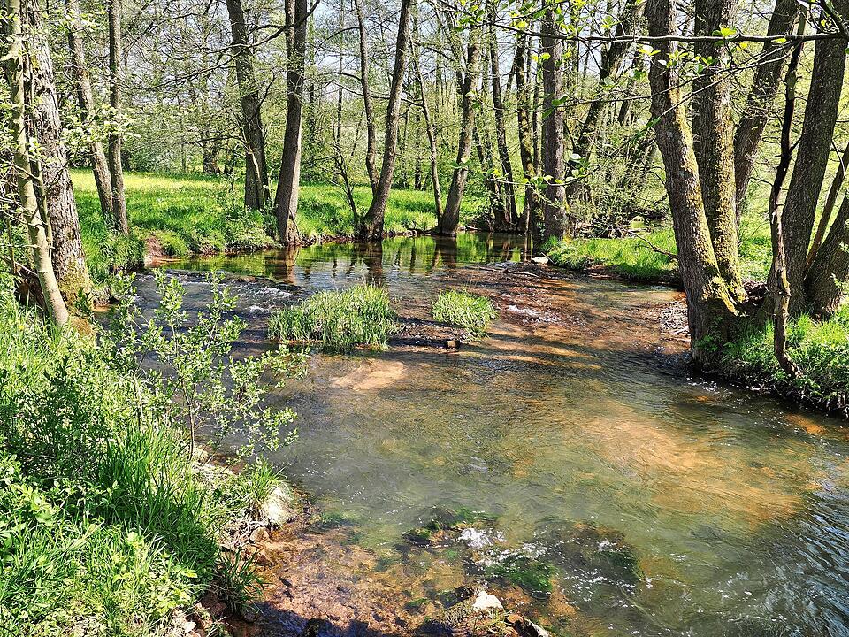 Die Wanderung führt durch eine Kernzone des Biosphärenreservats Rhön.