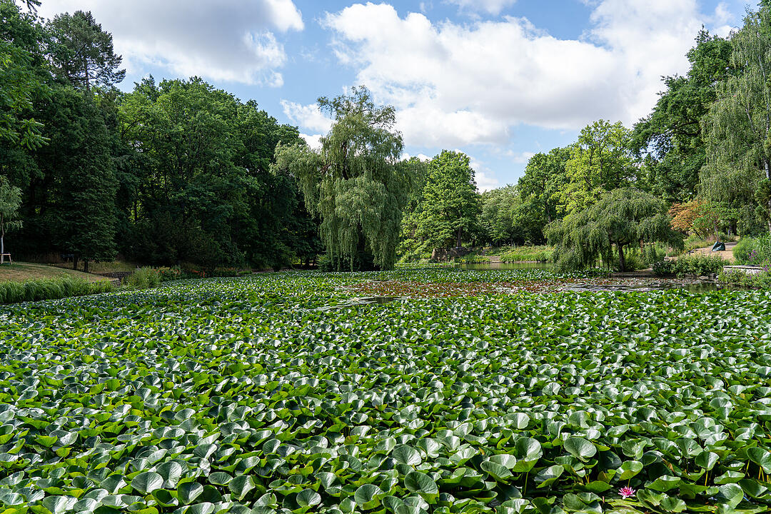 Einer der ältesten Bürgerparks in Bayern