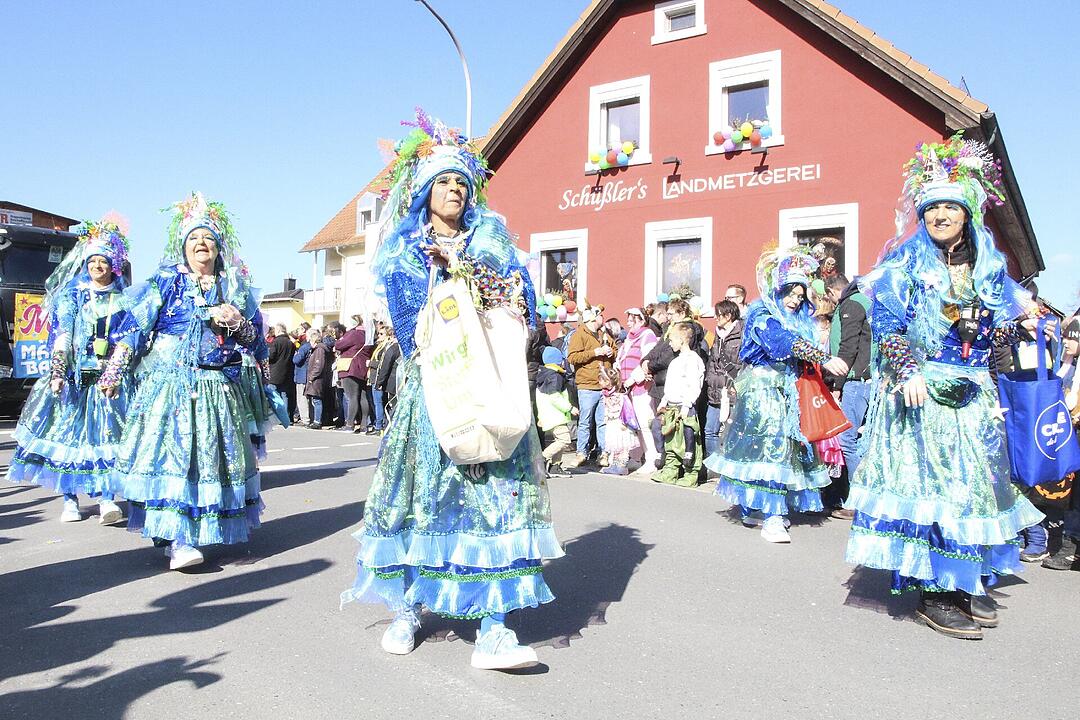 Fasching 2025 in Stadtsteinach!