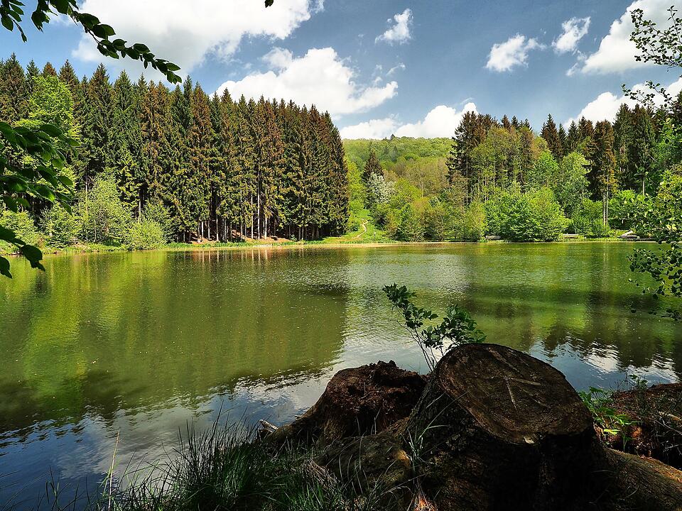 Rothsee am Bauersberg