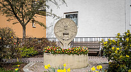 Vorschaubild