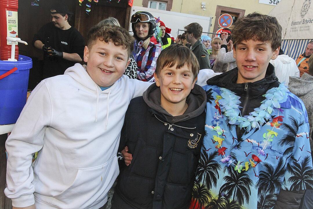 Fasching 2025 in Stadtsteinach!