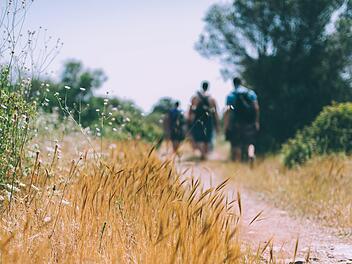 Kurze Wanderungen durch die Natur lassen sich prima in die Freizeit integrieren.