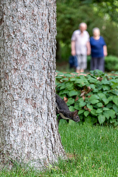Einer der ältesten Bürgerparks in Bayern