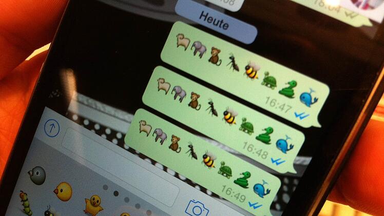 Bei WhatsApp wurde ein Sicherheitsleck entdeckt: Betroffen sind Gruppenchats. Symbolbild: Silke Katenkamp/dpa