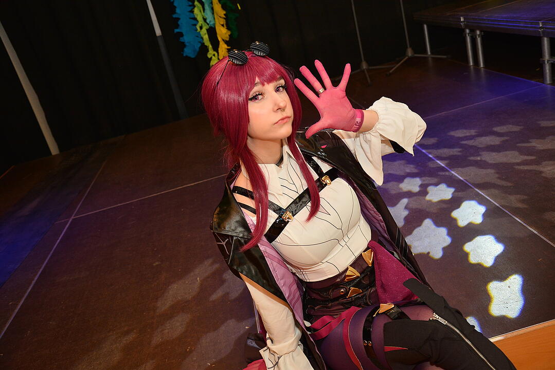 Zahlreiche Manga, Anime und Cosplay-Fans kamen nach Schweinfurt.