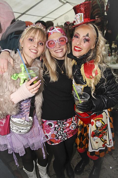 Fasching 2025 in Stadtsteinach!