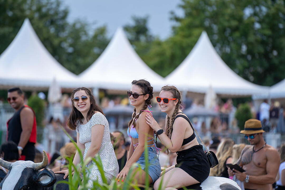 Mit vielen internationalen und nationalen Live-Acts!