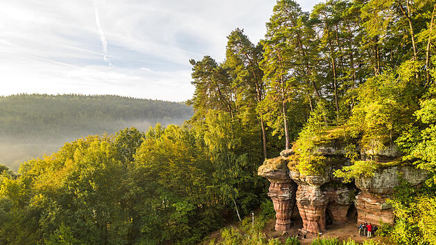8 Naturparks in Rheinland-Pfalz, die sich für einen Ausflug lohnen