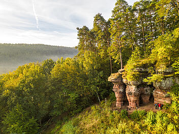 Schöne Wanderungen im Pfälzerwald: 6 schöne Ausflüge für den Frühling
