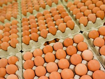 Friponil im Ei oder Kot im Brot: In erschreckender Regelmäßigkeit erhitzen solche Ekel-Funde in Lebensmitteln die Gemüter. In Bayern startet nun eine neue Spezialbehörde, die Großbetreiben auf die Finger schauen soll. Archivfoto: Julian Stratenschulte, dpa