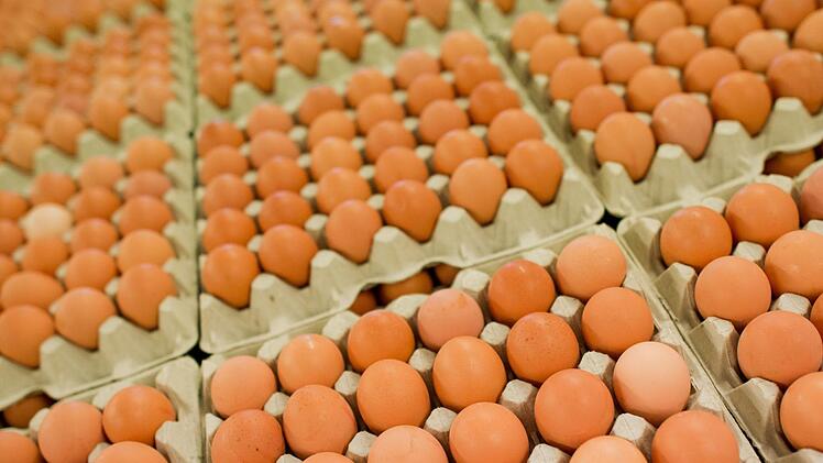 Friponil im Ei oder Kot im Brot: In erschreckender Regelmäßigkeit erhitzen solche Ekel-Funde in Lebensmitteln die Gemüter. In Bayern startet nun eine neue Spezialbehörde, die Großbetreiben auf die Finger schauen soll. Archivfoto: Julian Stratenschulte, dpa