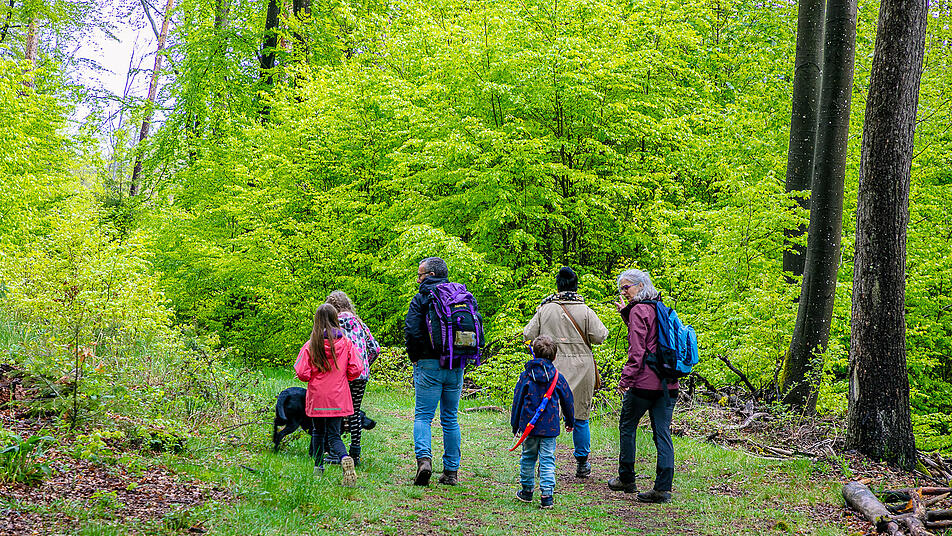 Familien-Waldabenteuer