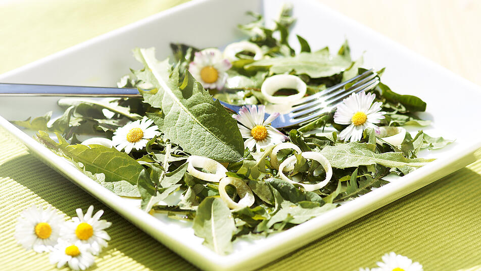 Bekannt aus dem Garten, lässt sich Löwenzahn auch zu einem leckeren Salat verarbeiten.