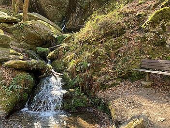 Wandern in Rheinland-Pfalz: Ehrbachklamm unter den 10 schönsten Schluchten Deutschlands
