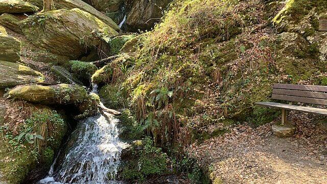 Wandern in Rheinland-Pfalz: Ehrbachklamm unter den 10 schönsten Schluchten Deutschlands
