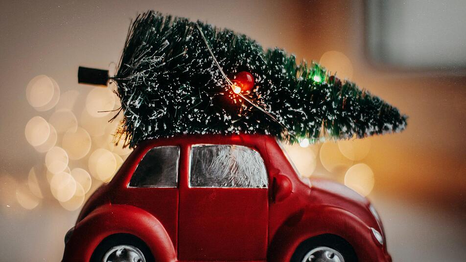 Weihnachtsbäume, wie Fichten und Kiefern, sind in der Regel frisch geschlagen und halten dadurch länger.