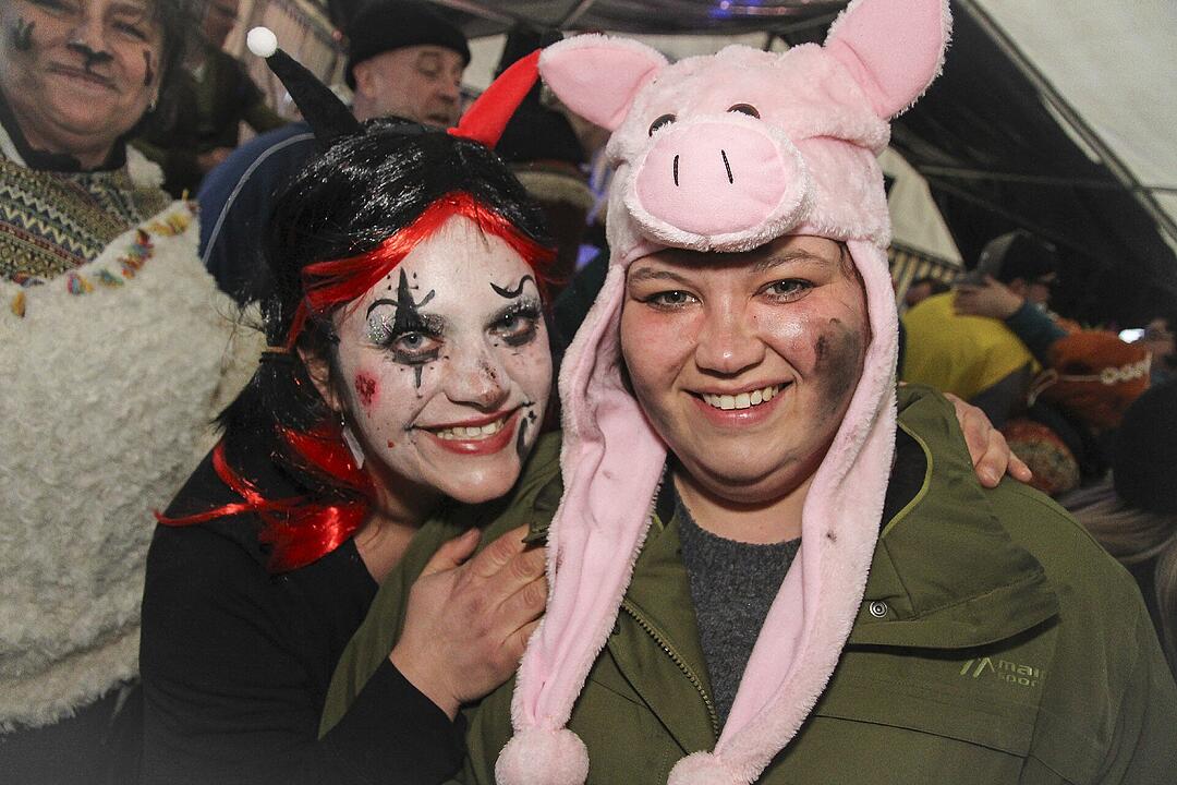 Fasching 2025 in Stadtsteinach!