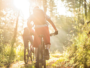 Es loht sich, mit dem Fahrrad oder dem Mountainbike durch den Pfälzerwald zu touren.